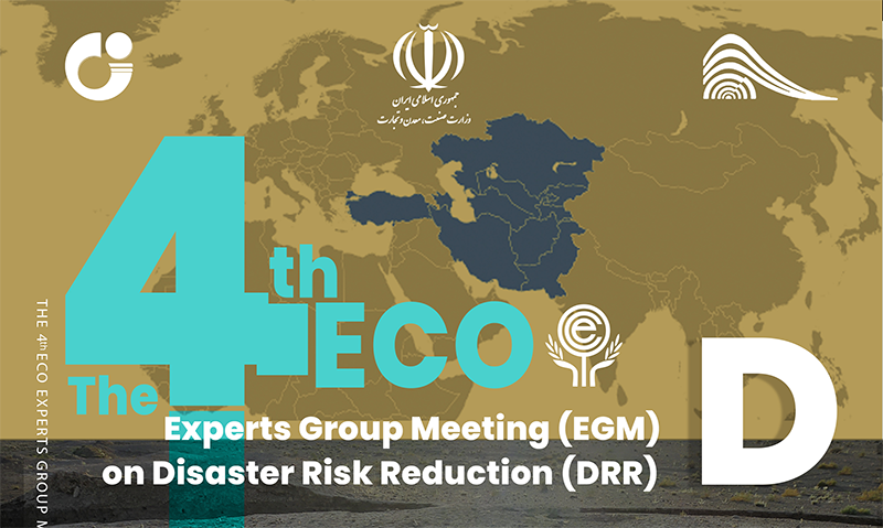 4th Expert Group Meeting on Disaster Risk Reduction 