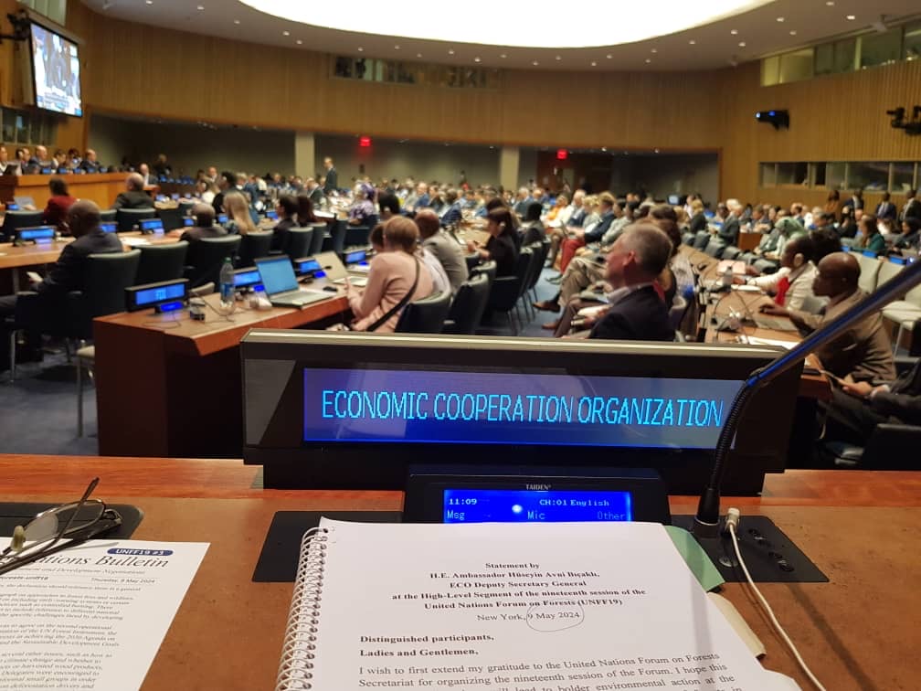 ECO Deputy Secretary General Attends the 19th Session of the United Nations Forum on Forests