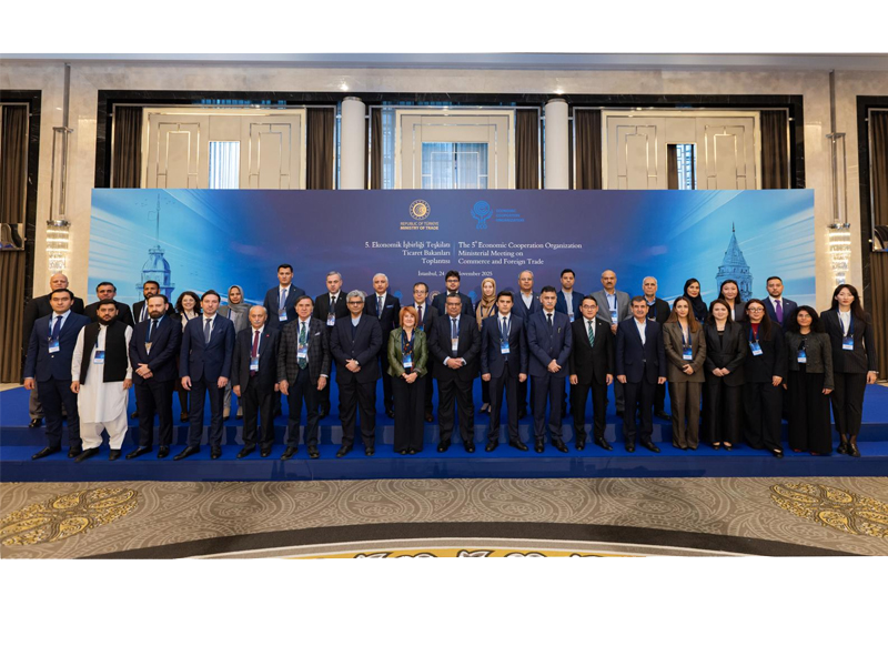 The 5th High-Level Expert Group Meeting on Trade and Investment