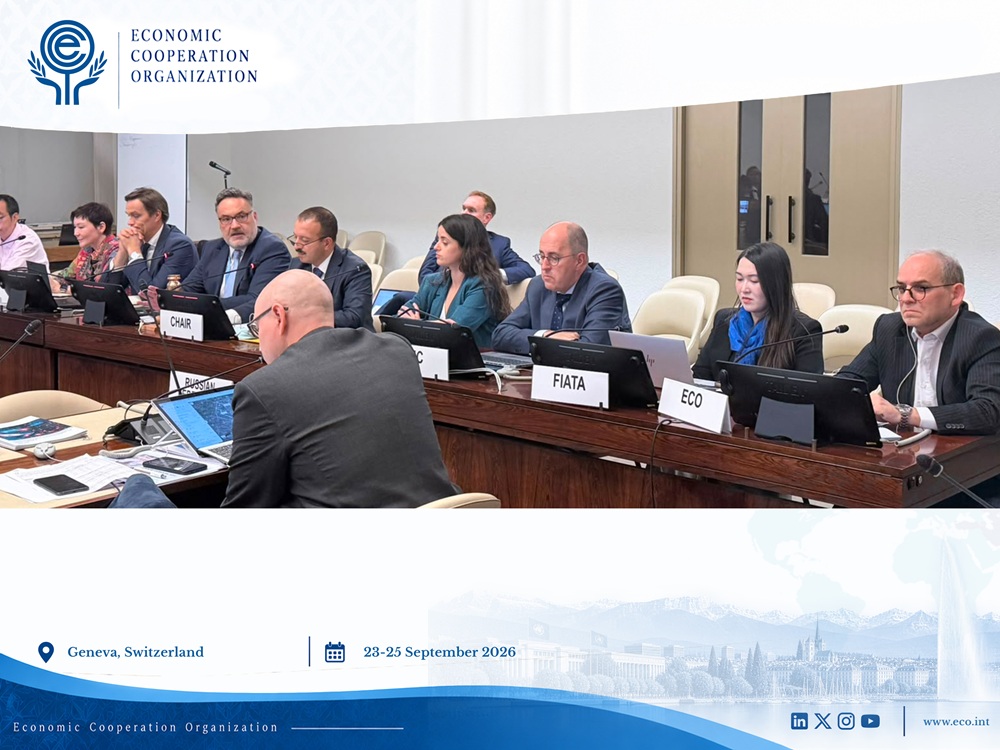 ECO participated in the UN-ECE Working Party on Transport