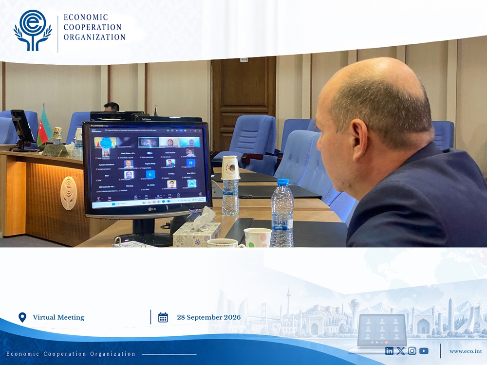 Regional Webinar Explores Sustainable Transport and Electric Mobility