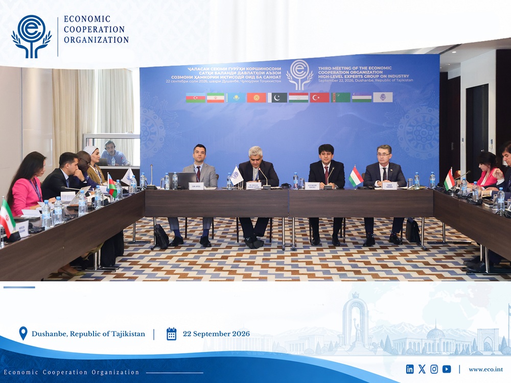 3rd High Level Working Group Meeting on Industry Convenes
