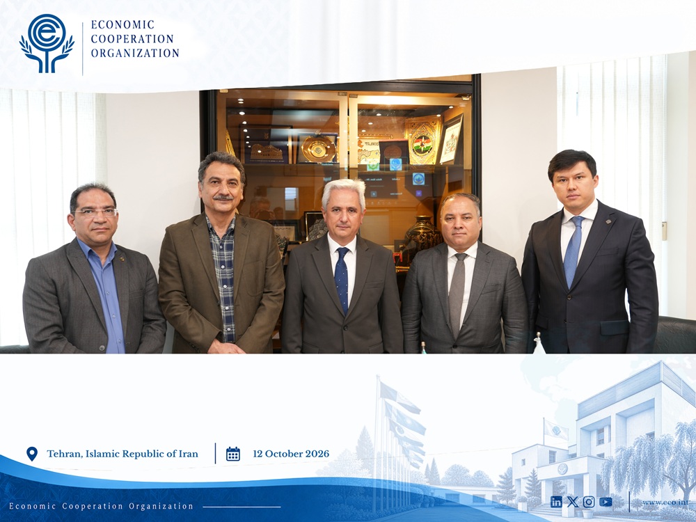 10th ECO Minerals Experts Group Meeting